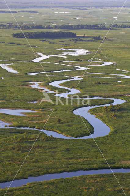 Biebrza National Park