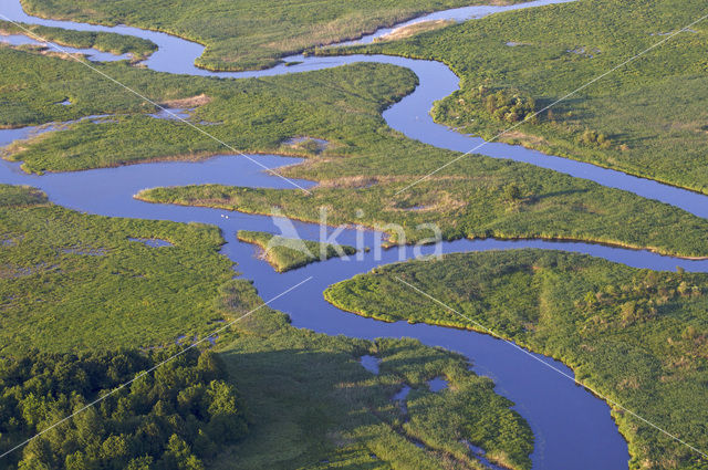 Biebrza National Park