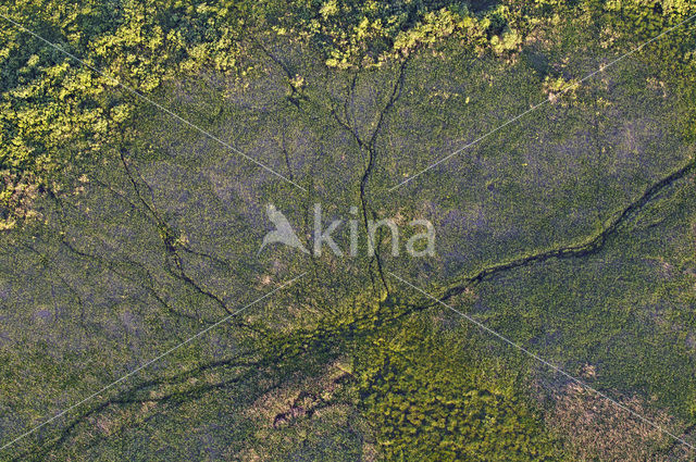 Biebrza National Park