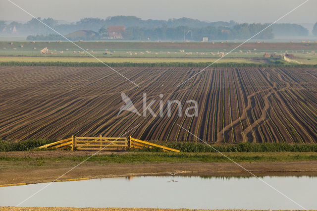 Lage Land van Texel