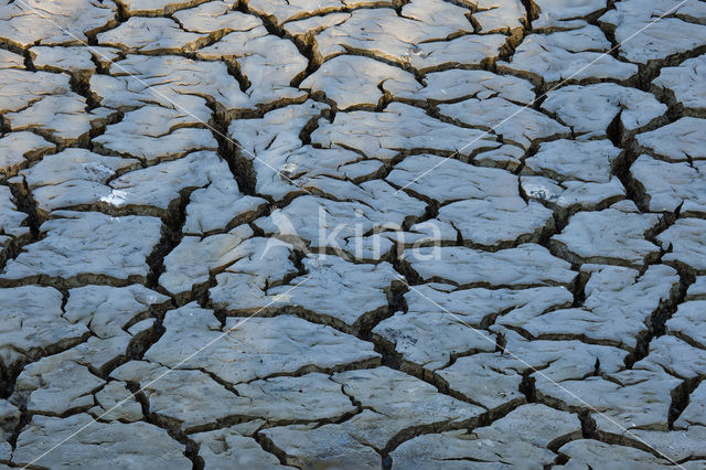 Lage land van Texel