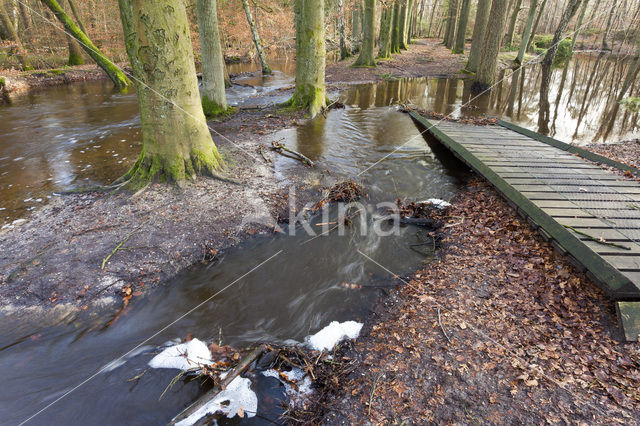 Landgoed Leuvenhorst