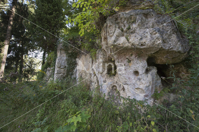 Limburg