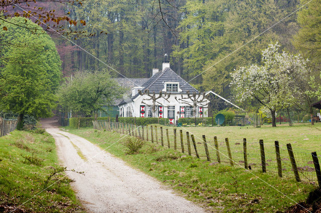 Nationaal Park Veluwezoom