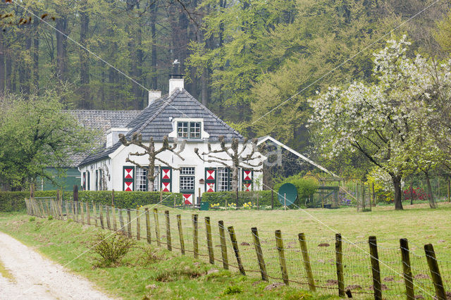 Nationaal Park Veluwezoom