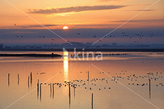 Polder Arkemheem