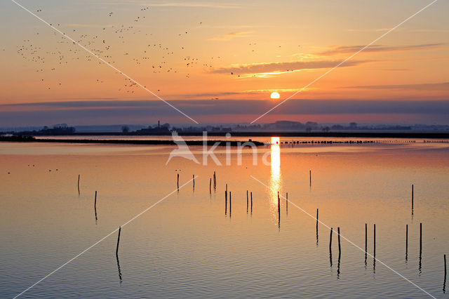 Polder Arkemheem