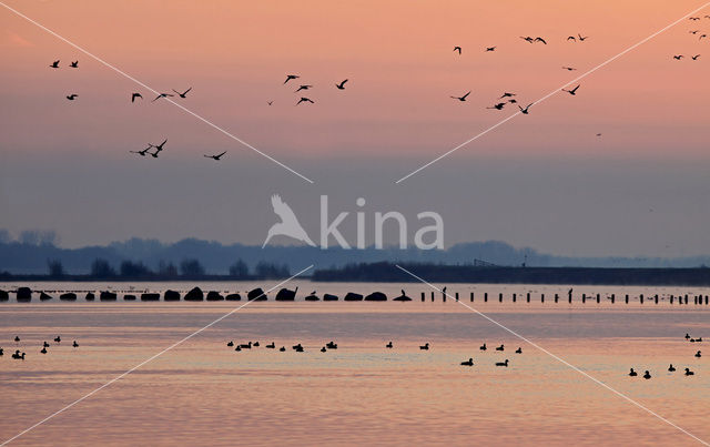 Polder Arkemheem