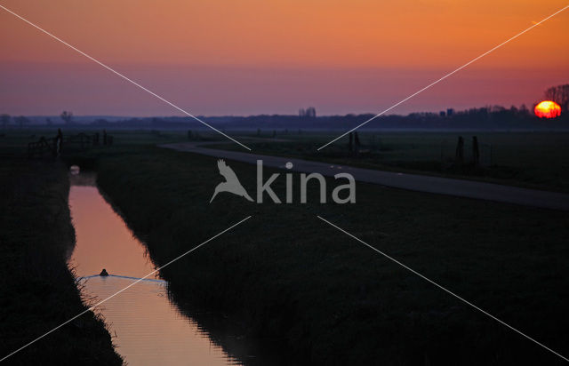 Polder Arkemheem