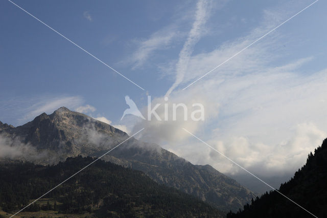 Pyrenees