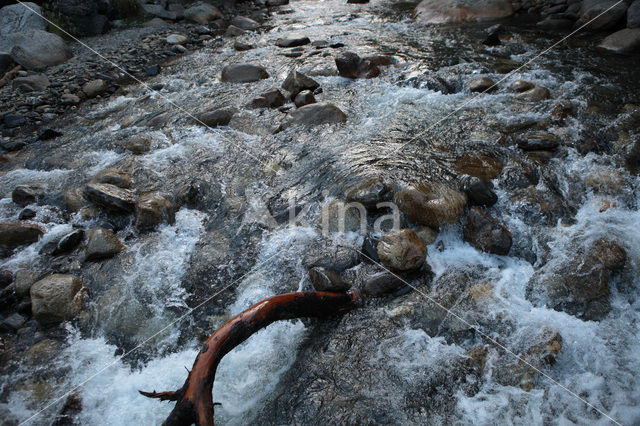 Pyrenees