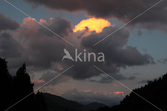 Pyrenees
