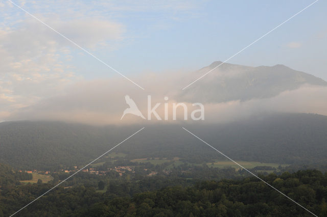 Pyrenees