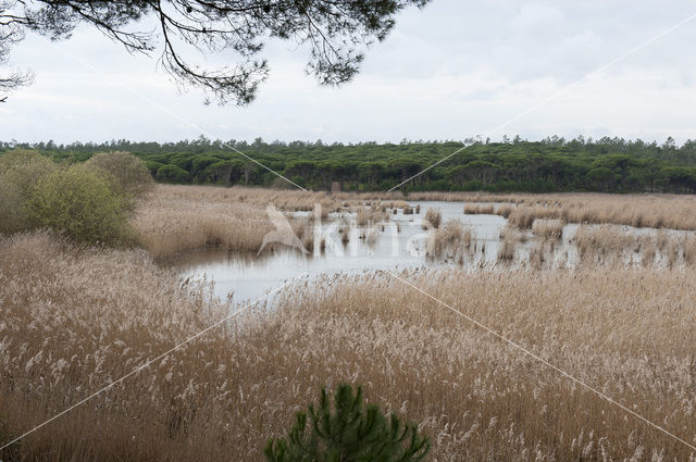 Setubal