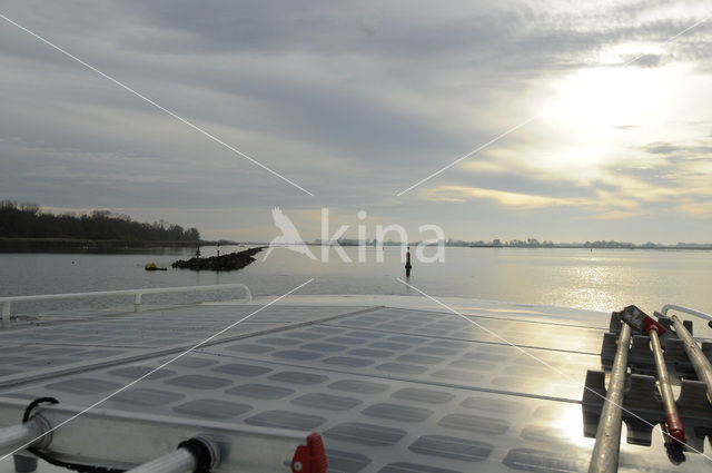 Vogeleiland Zwarte Meer