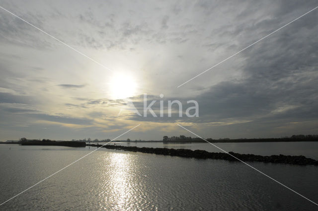 Vogeleiland Zwarte Meer