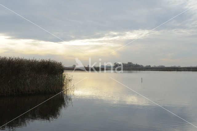 Vogeleiland Zwarte Meer