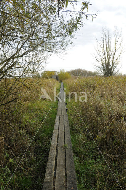 Vogeleiland Zwarte Meer