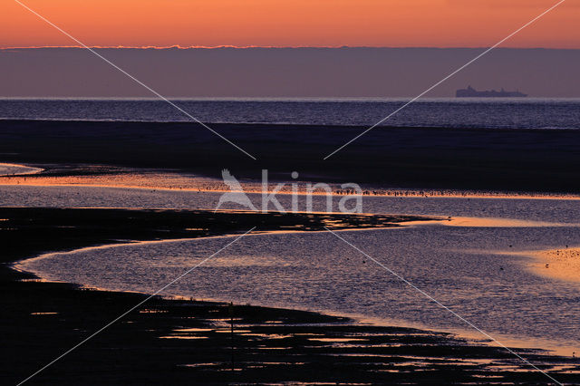 Waddensea