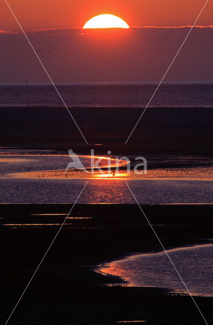 Waddensea