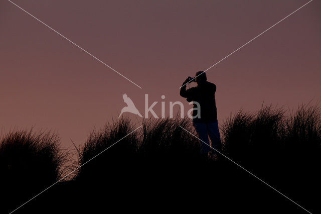 Waddensea