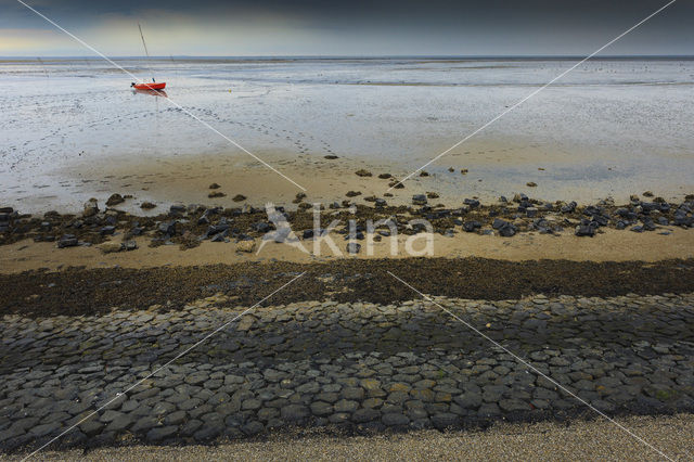 Waddensea