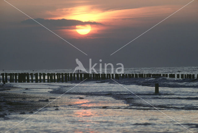 Domburg