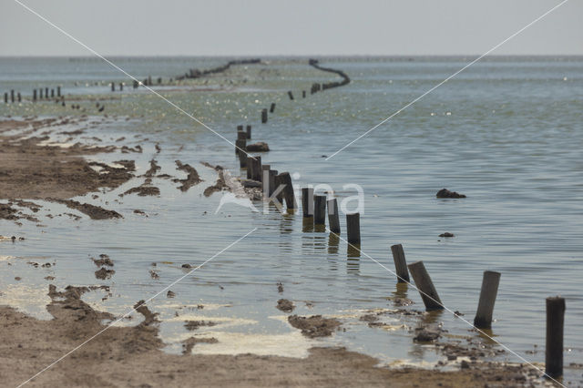 Etosha National park