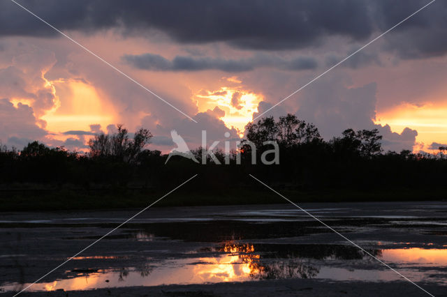 Everglades