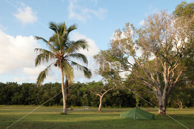 Everglades