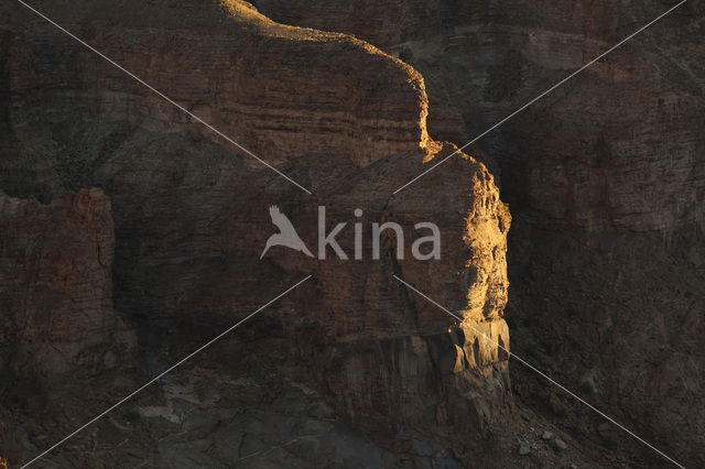 Fish River Canyon