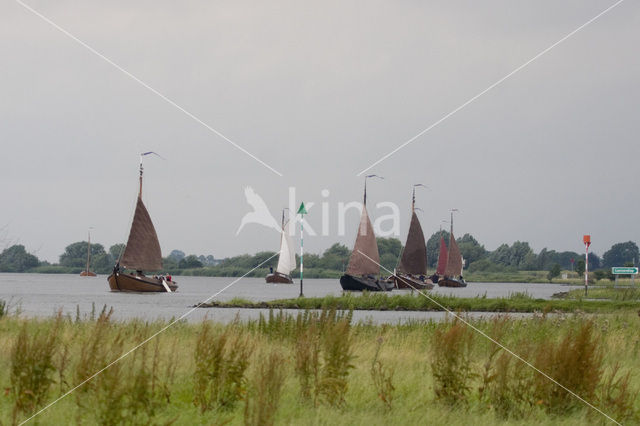 IJssel