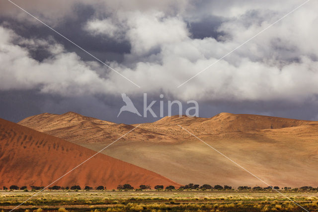 Namib naukluft national park