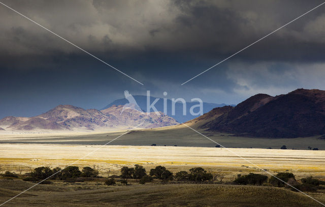 Namib naukluft national park