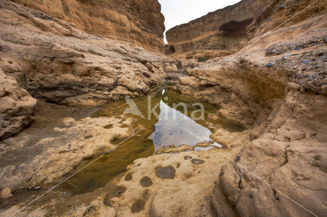 Namib Naukluft national park