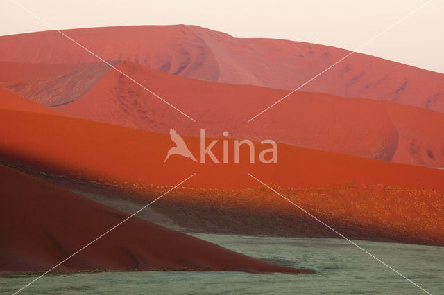 Namib naukluft national park