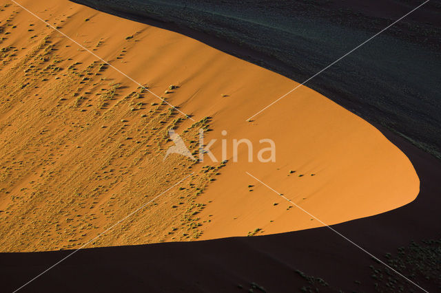 Namib naukluft national park