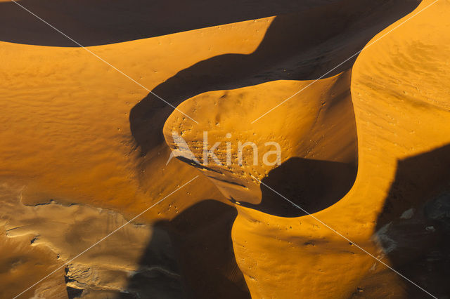 Namib naukluft national park