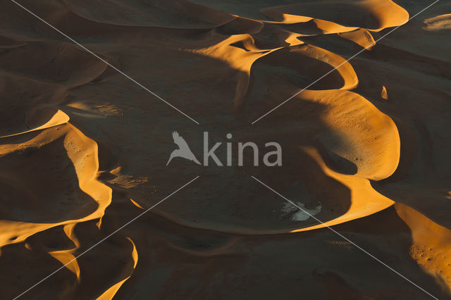 Namib naukluft national park