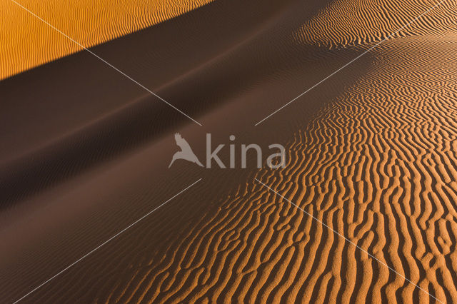 Namib naukluft national park