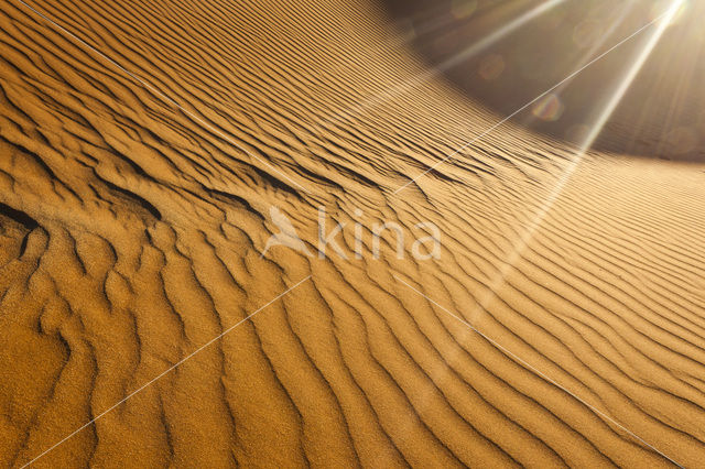 Namib naukluft national park