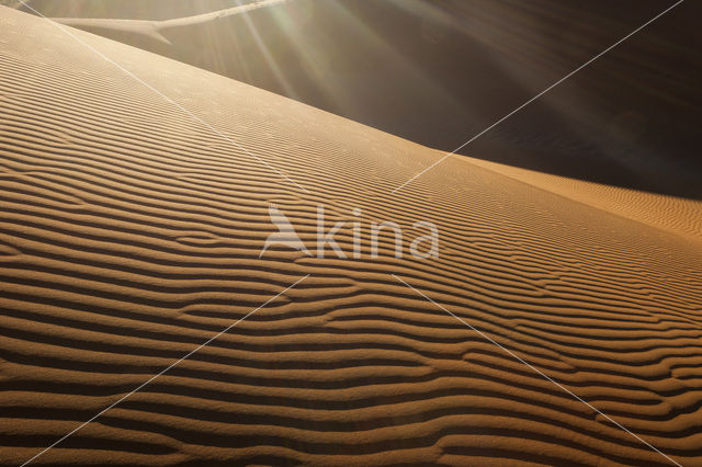 Namib naukluft national park