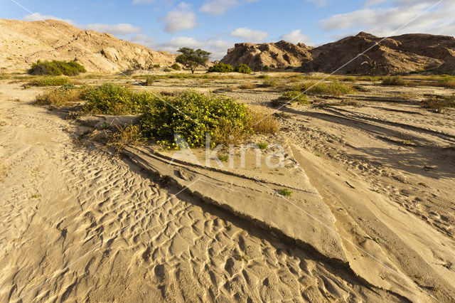 Namib naukluft national park