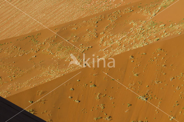 Namib naukluft national park