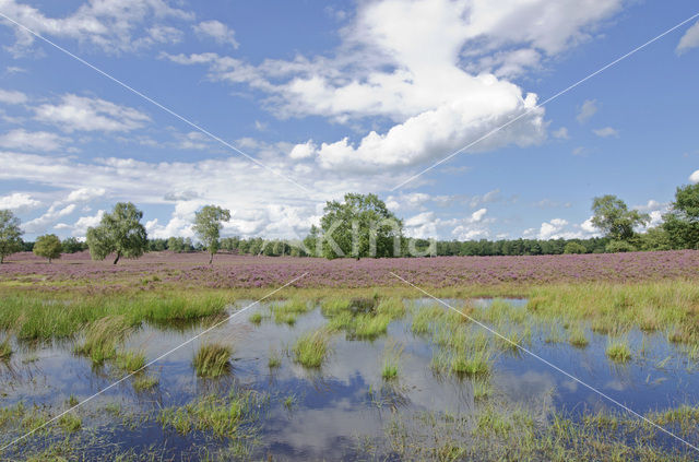 National Park De Hoge Veluwe