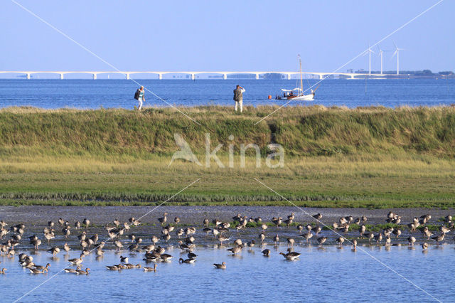 Nationaal Park Oosterschelde