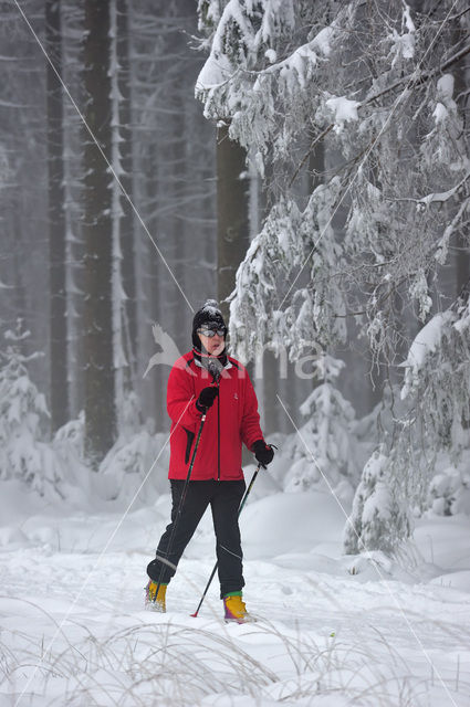 Natural Park Hautes Fagnes