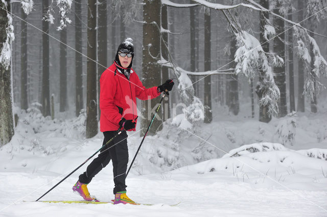 Natural Park Hautes Fagnes