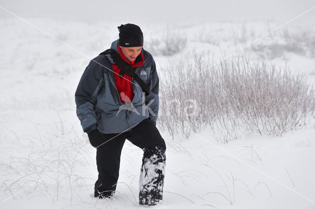 Natural Park Hautes Fagnes