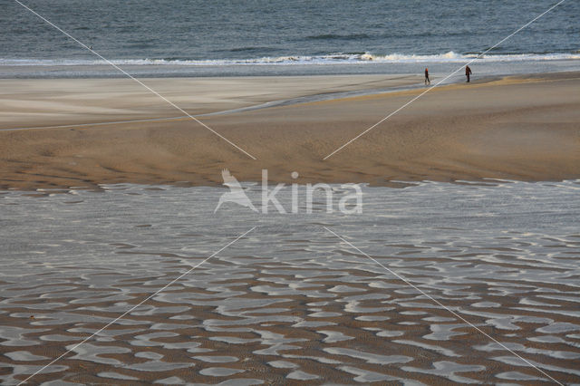 Northsea beach